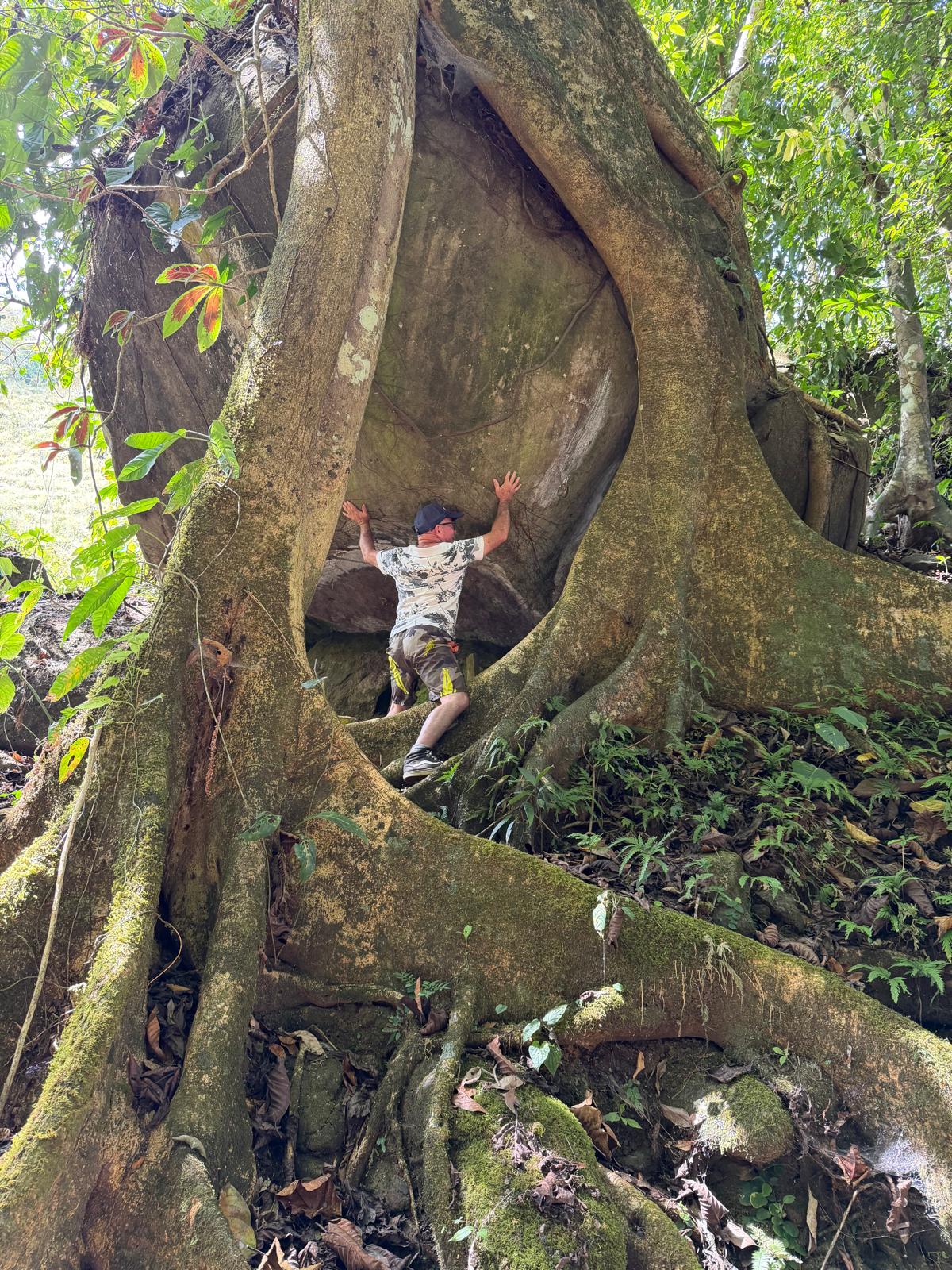 Tree-root rock formation at Hacienda La Cascada